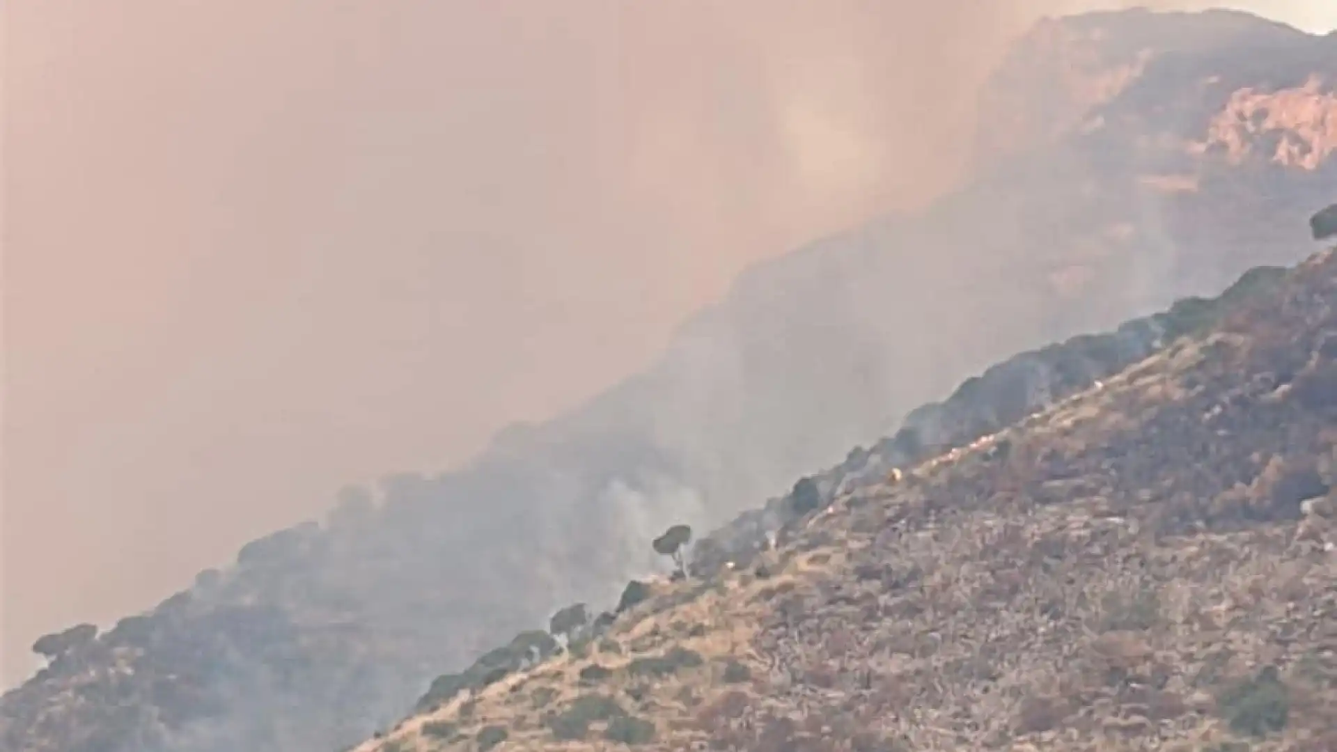 Venafro: incendio di Monte Santa Croce domato nella parte bassa. Il resoconto del sindaco Alfredo Ricco. “Un vero scempio per la nostra montagna”: